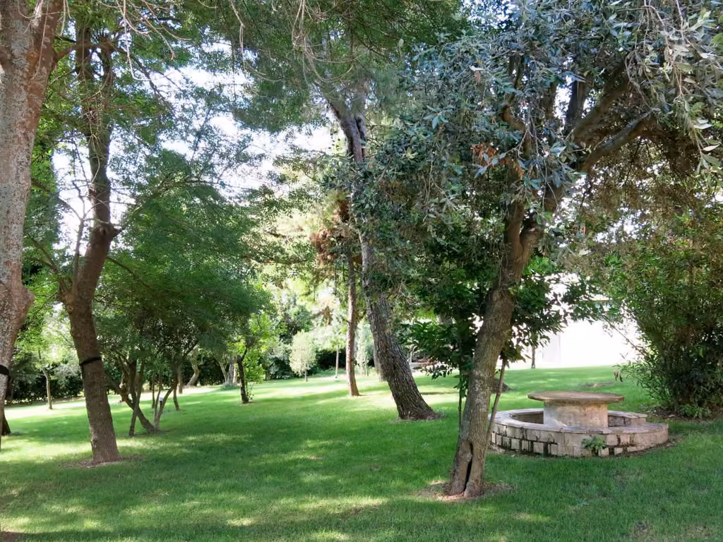 Il giardino dell'agriturismo con il verde intorno alla struttura