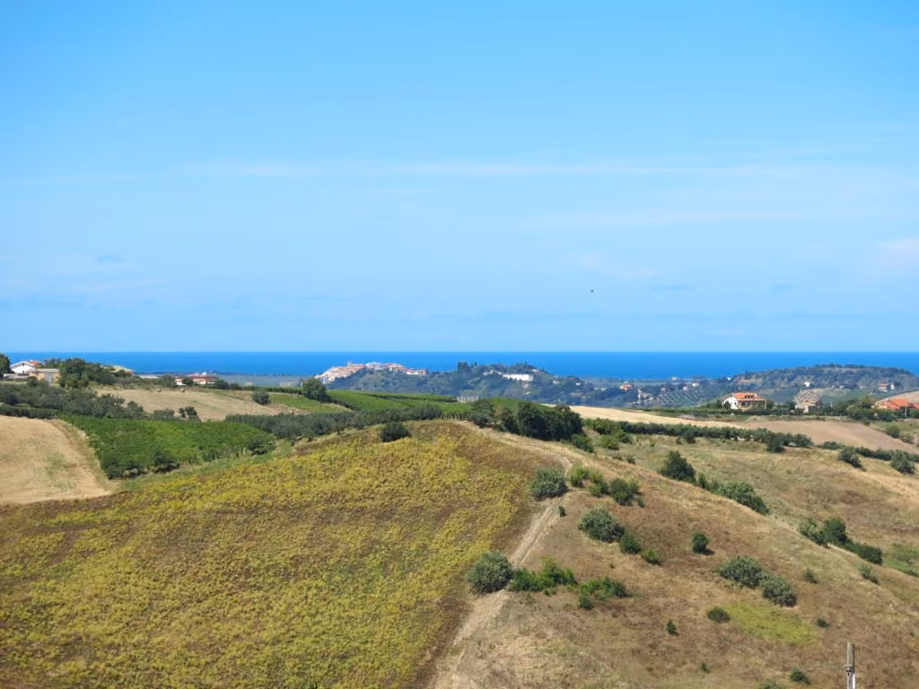 La campagna intorno all'agriturismo, tra le colline abruzzesi