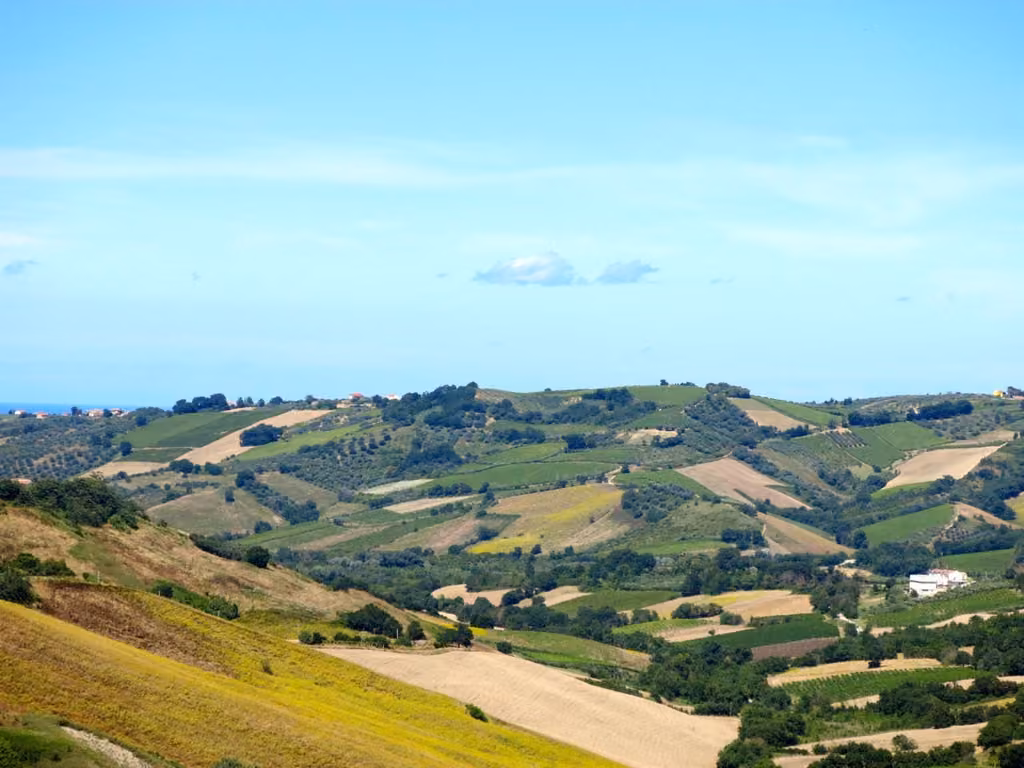 Veduta del paesaggio naturale vicino all'Agriturismo Casale Vidorni