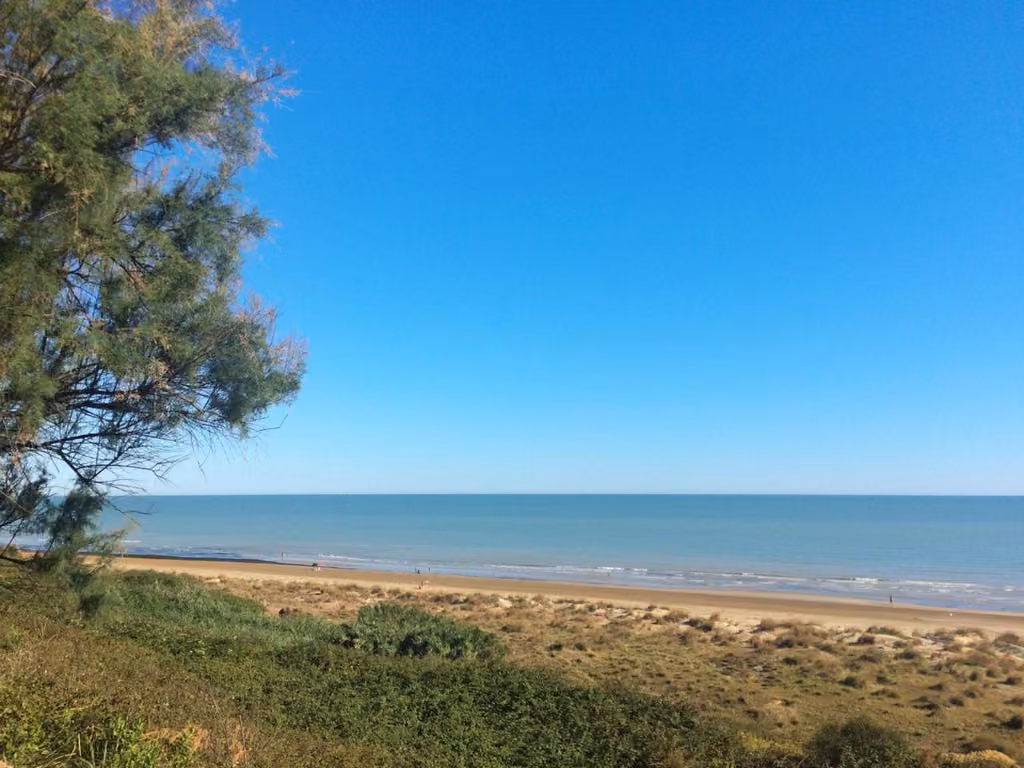 Il paesaggio intorno all'agriturismo, tra ulivi e colline