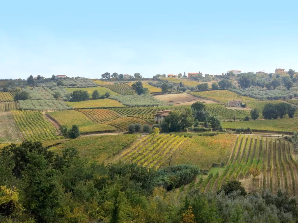 Un altro scorcio di campagna vicino all'Agriturismo Casale Vidorni