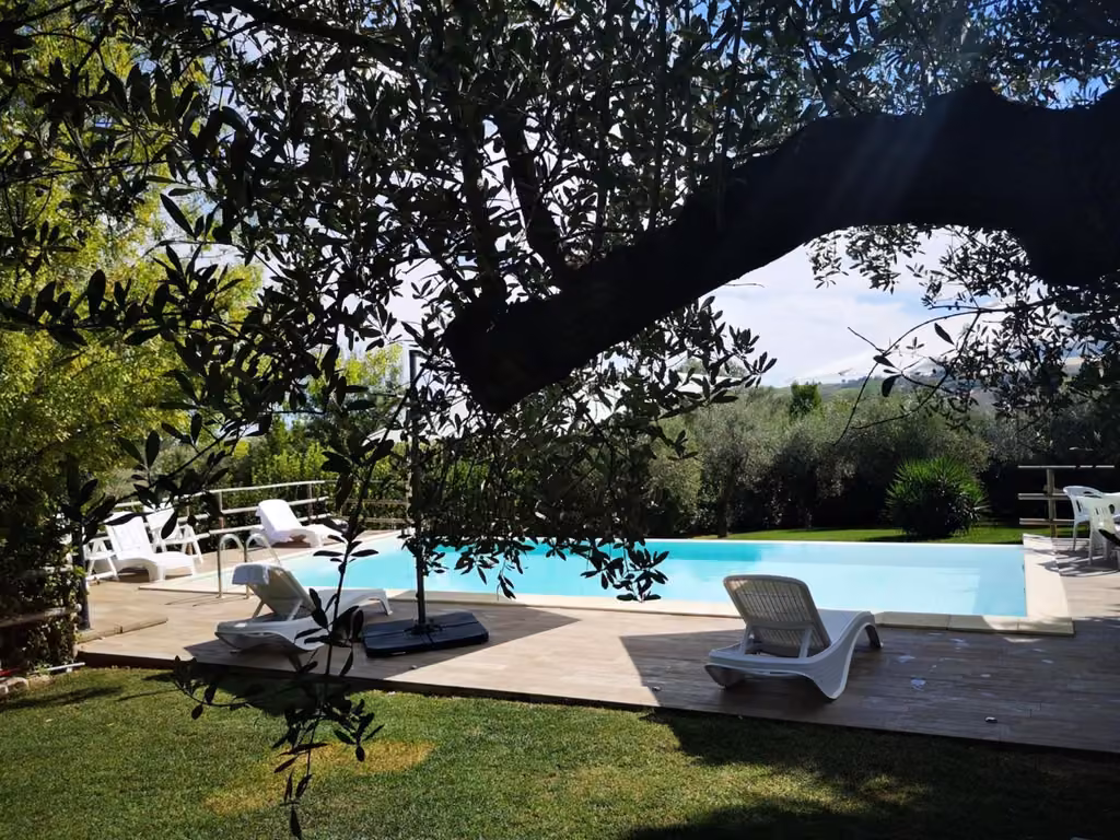 La piscina dell'agriturismo con il verde intorno